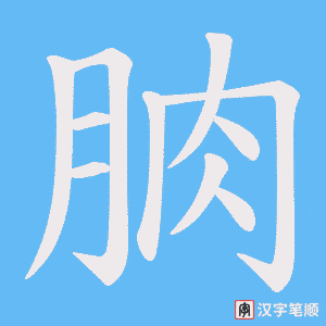 朒字笔顺动画