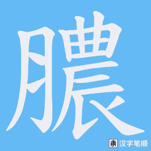 膿字笔顺动画