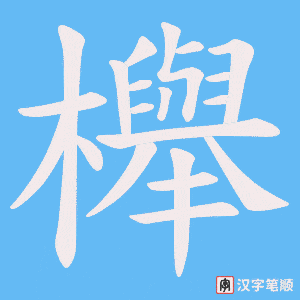 櫸字笔顺动画