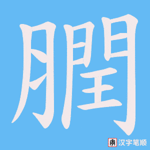 膶字笔顺动画