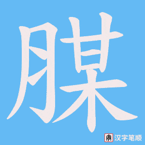 腜字笔顺动画