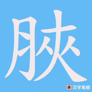 脥字笔顺动画