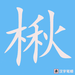 楸字笔顺动画