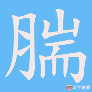 腨字笔顺动画