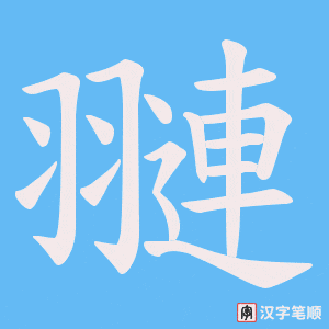 翴字笔顺动画