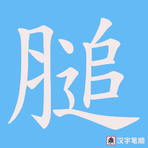 膇字笔顺动画