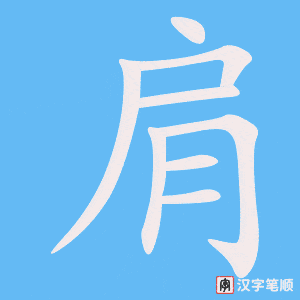 肩字笔顺动画