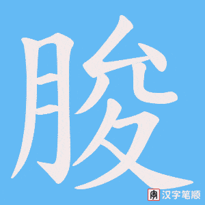 朘字笔顺动画
