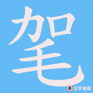 毠字笔顺动画