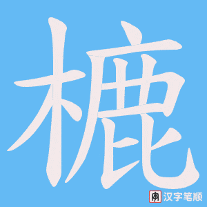 樚字笔顺动画