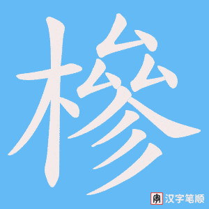 槮字笔顺动画