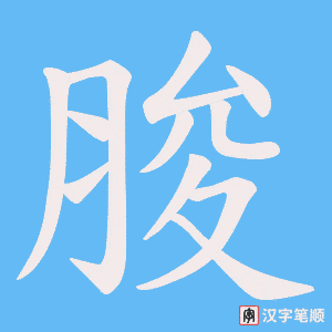 脧字笔顺动画
