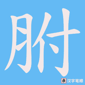 胕字笔顺动画