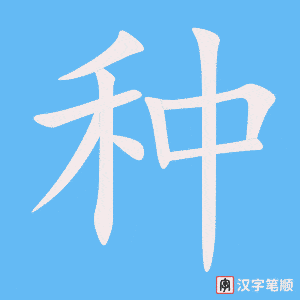 种字笔顺动画