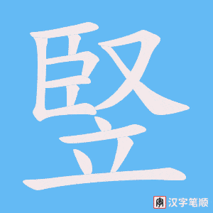 竪字笔顺动画