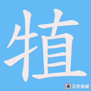 犆字笔顺动画