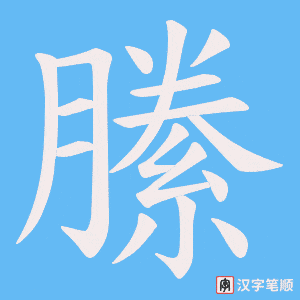 縢字笔顺动画