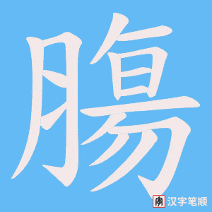 膓字笔顺动画