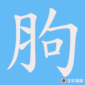 胊字笔顺动画
