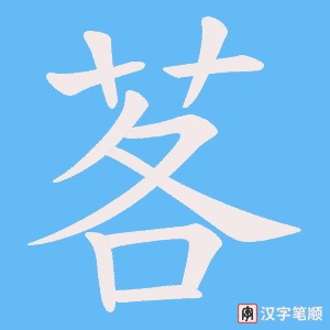 茖字笔顺动画