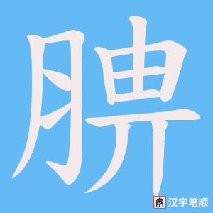 腗字笔顺动画