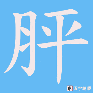 胓字笔顺动画