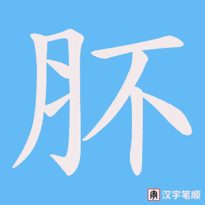 肧字笔顺动画