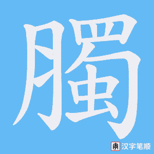 臅字笔顺动画