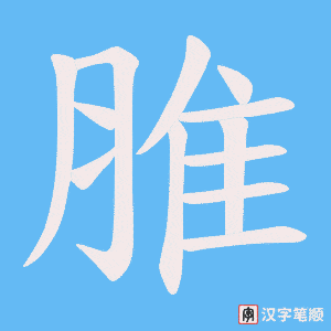 脽字笔顺动画