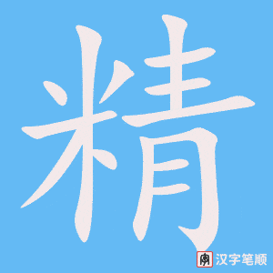 精字笔顺动画