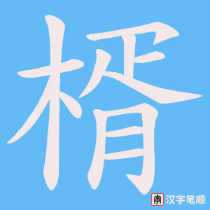 楈字笔顺动画