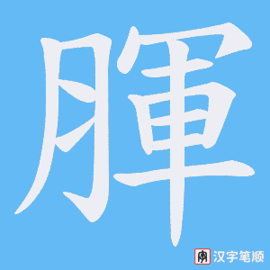 腪字笔顺动画