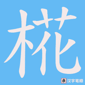 椛字笔顺动画
