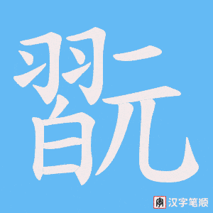 翫字笔顺动画