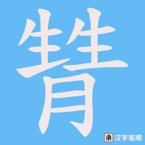 甧字笔顺动画
