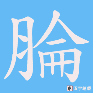 腀字笔顺动画