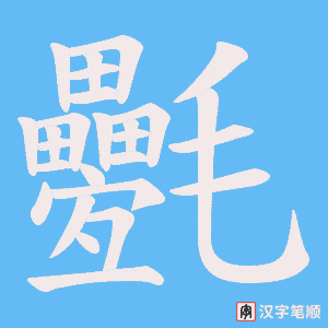 氎字笔顺动画