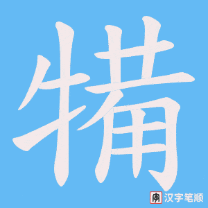 犕字笔顺动画