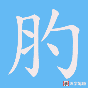 肑字笔顺动画