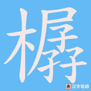 樼字笔顺动画