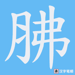 胇字笔顺动画